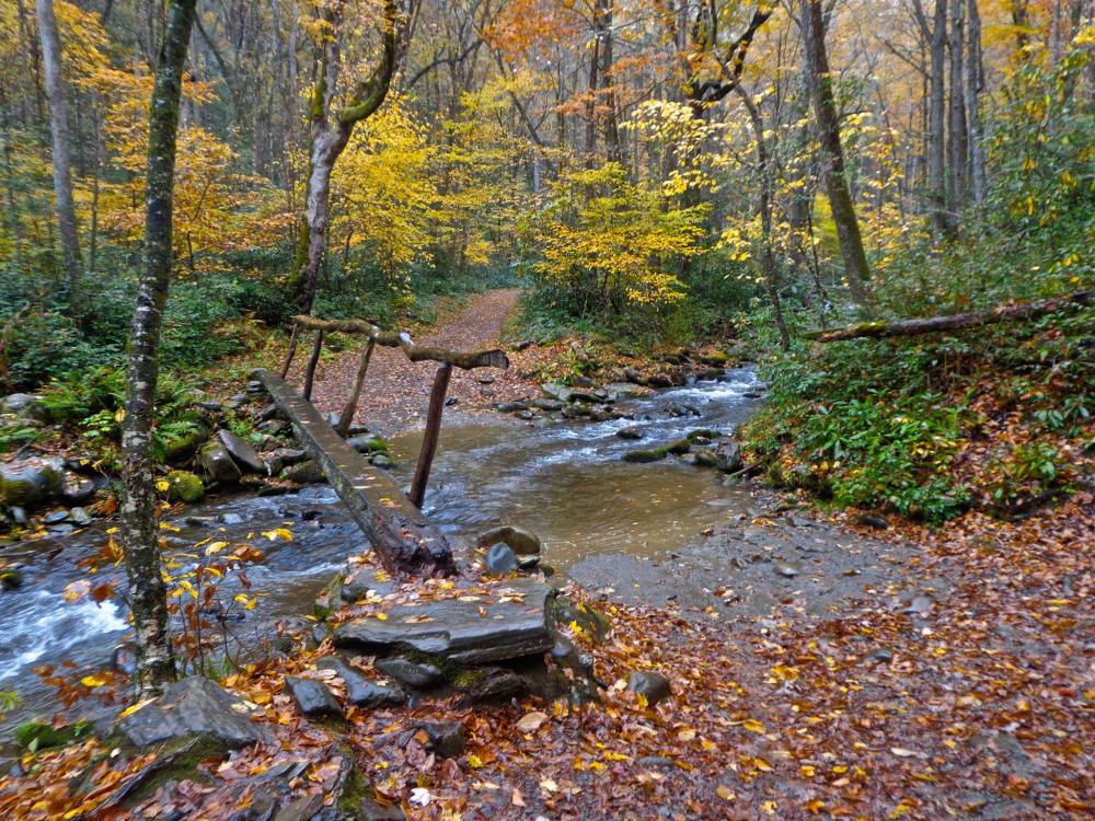 Cataloochee Cataloochee