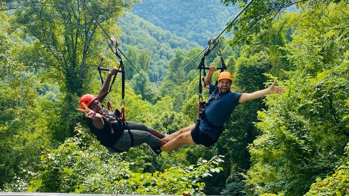 Navitat Zipline