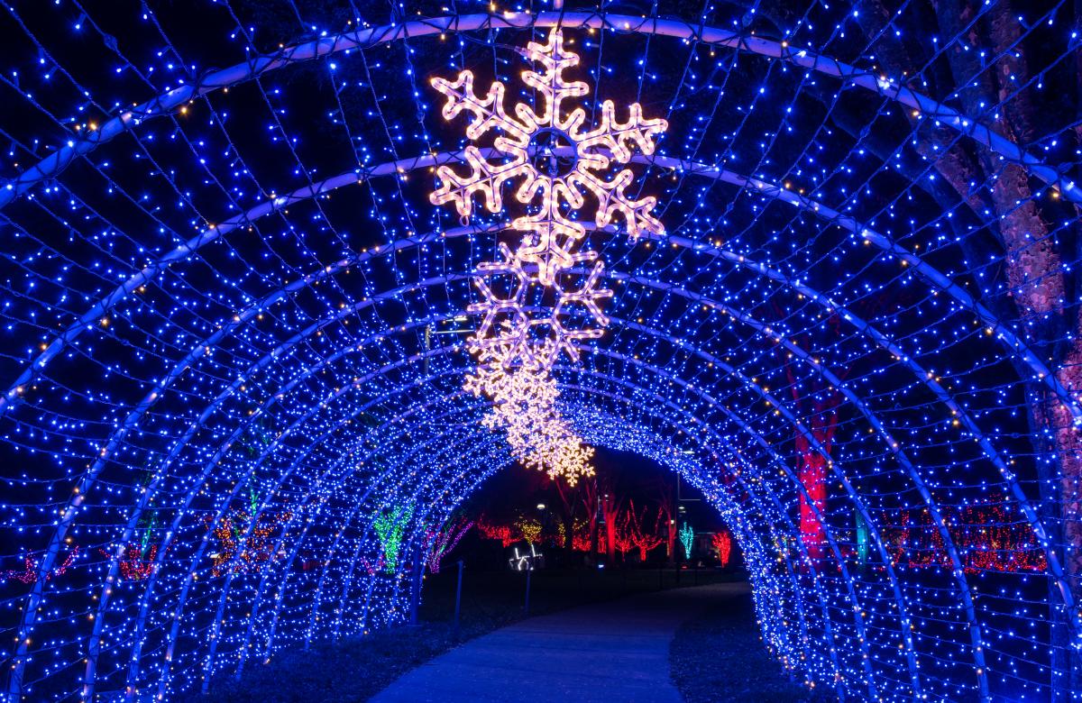 Winter Lights 2018