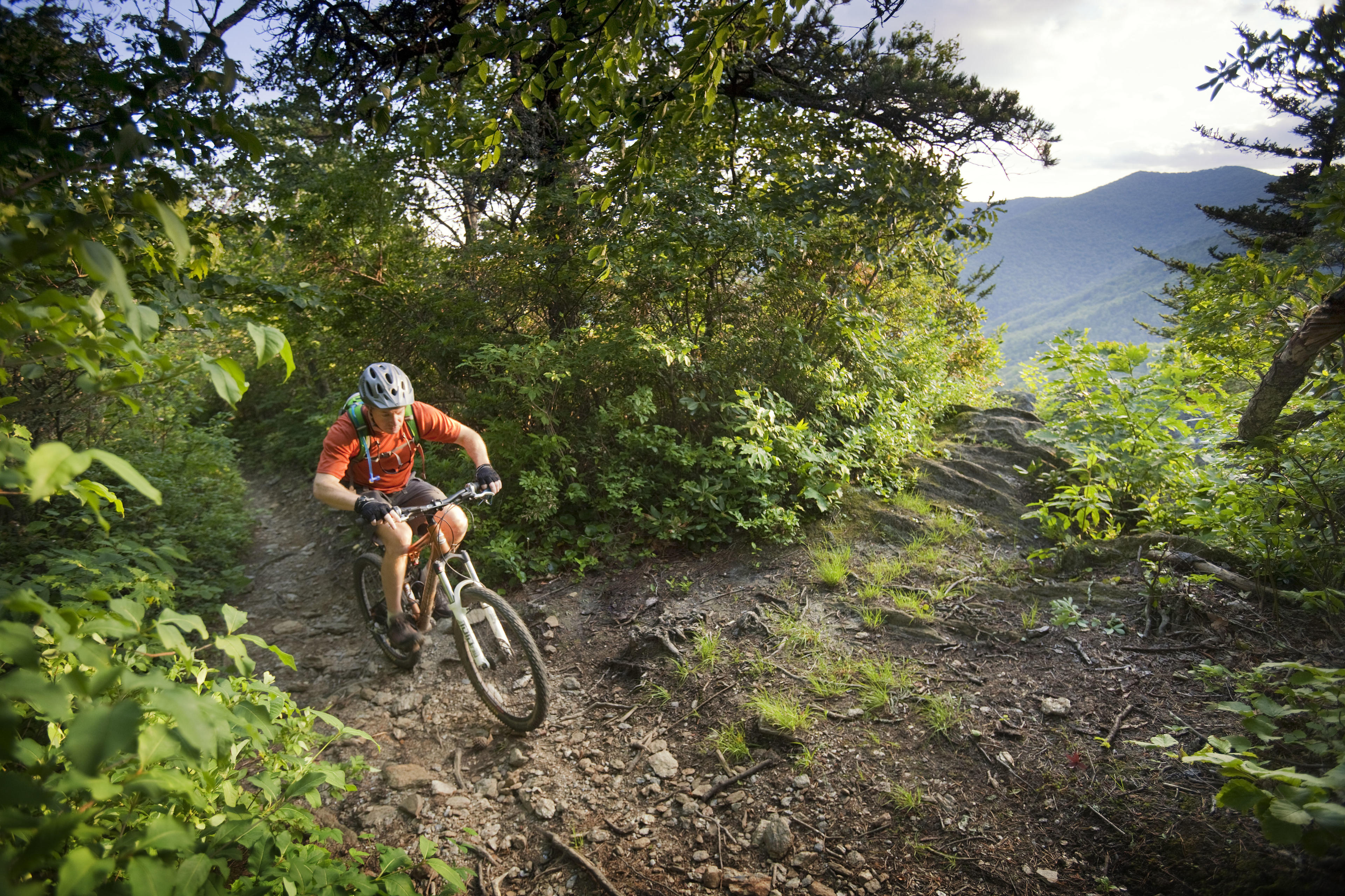 Mountain biker on trail in Asheville, NC