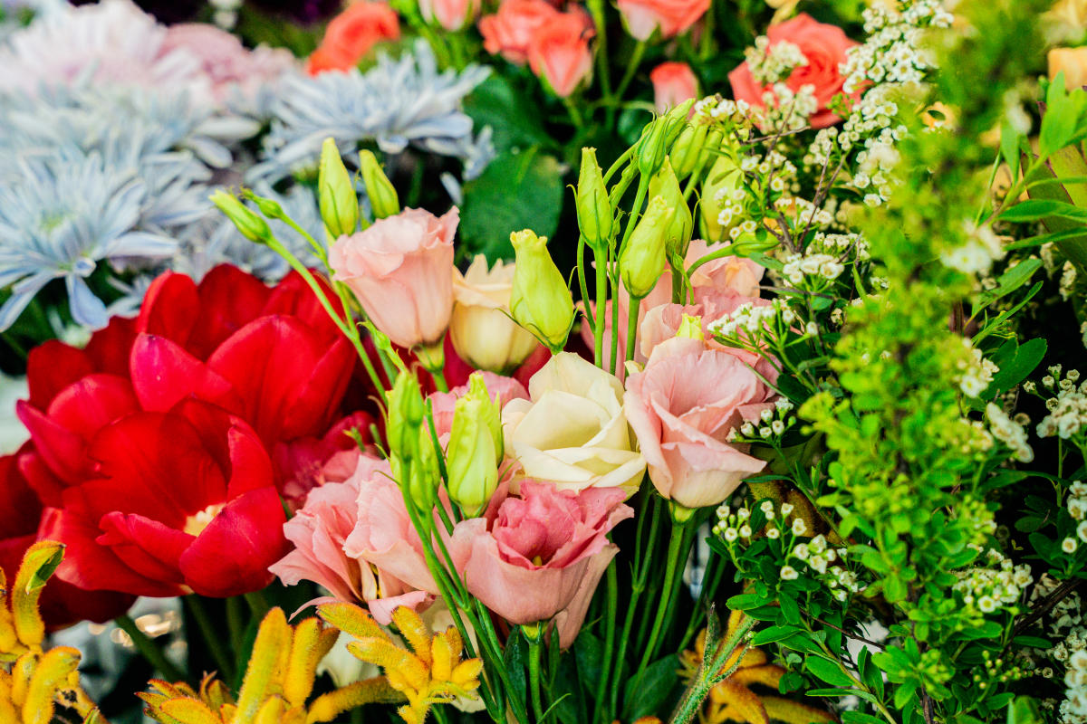 Fresh Cut Flowers at Pollen Coffee & Flower Shop