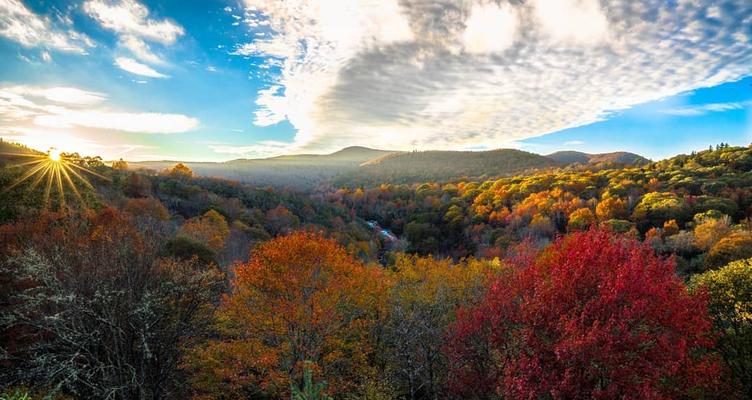 Graveyard Fields