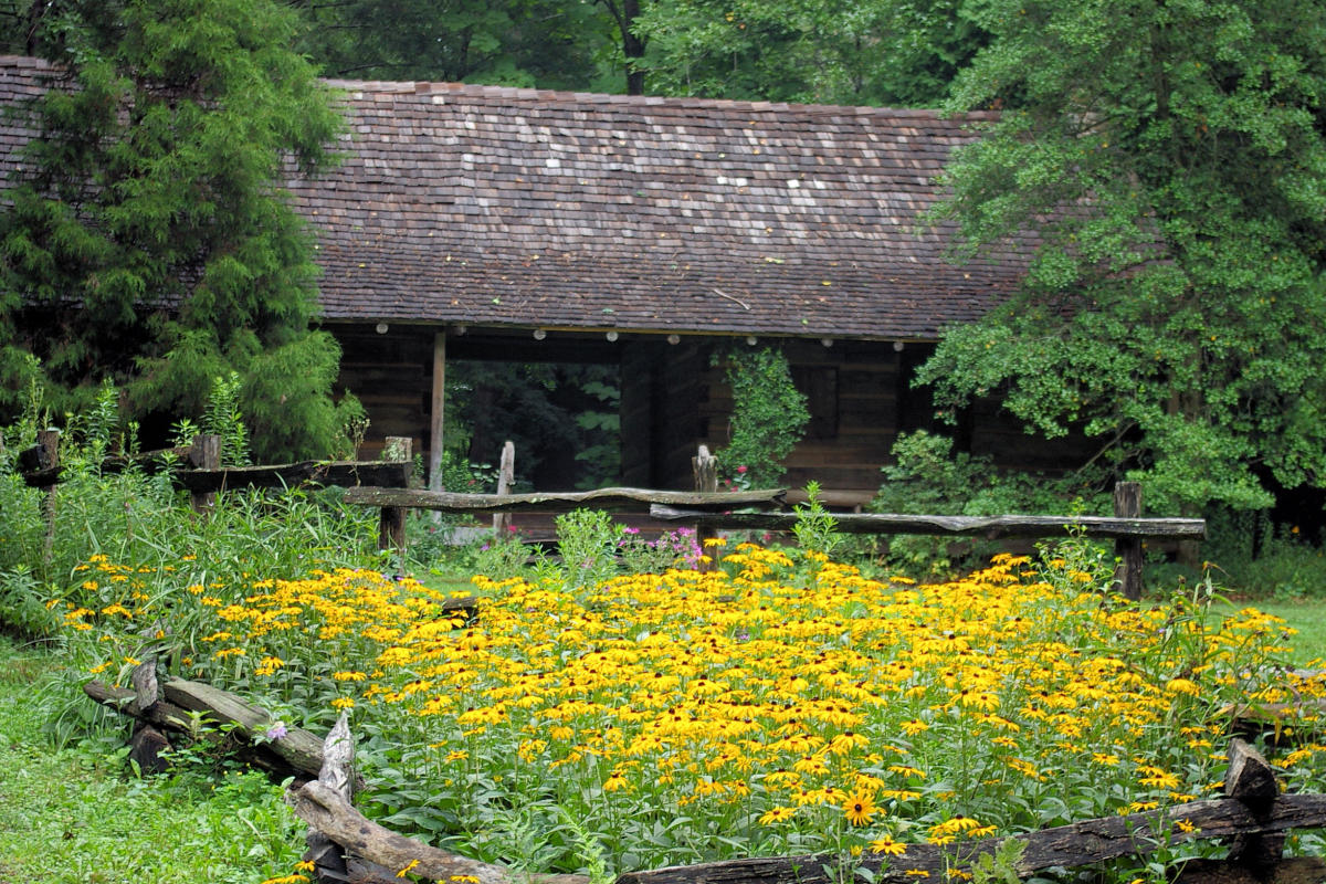 Asheville Botanical Gardens Asheville Botanical Gardens