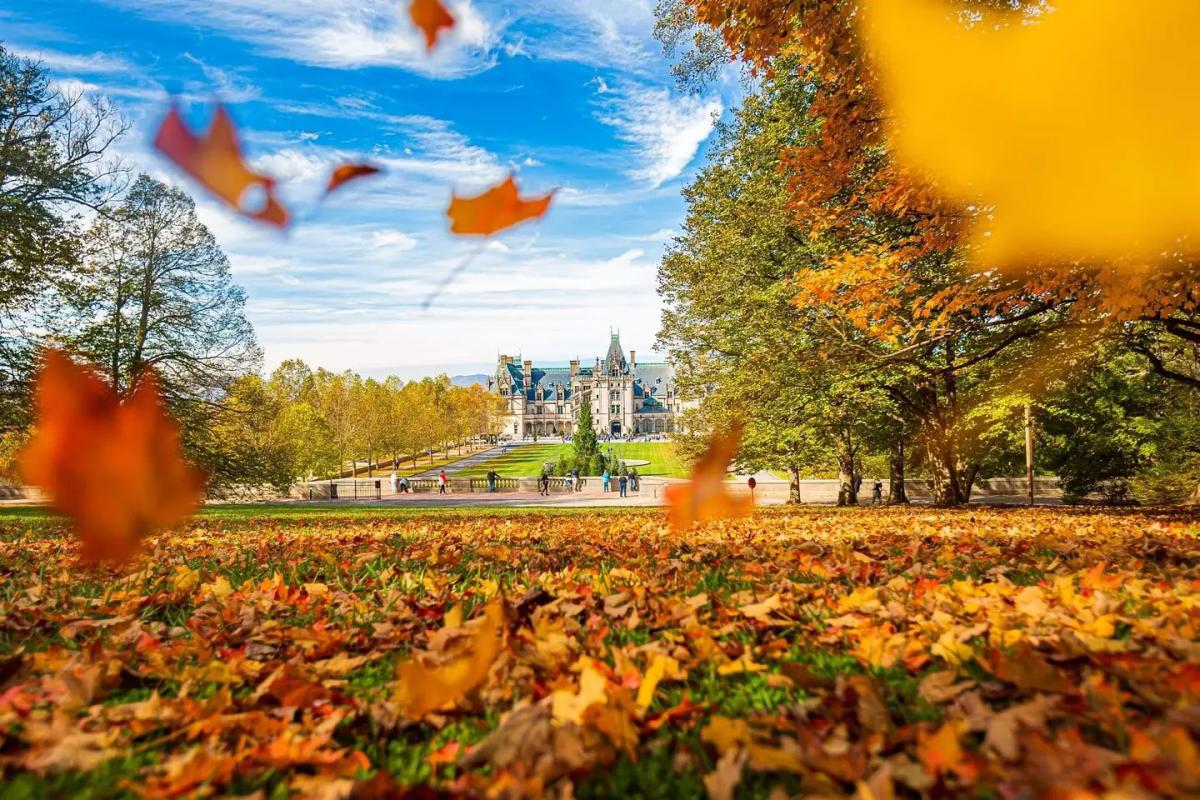 Biltmore Biltmore