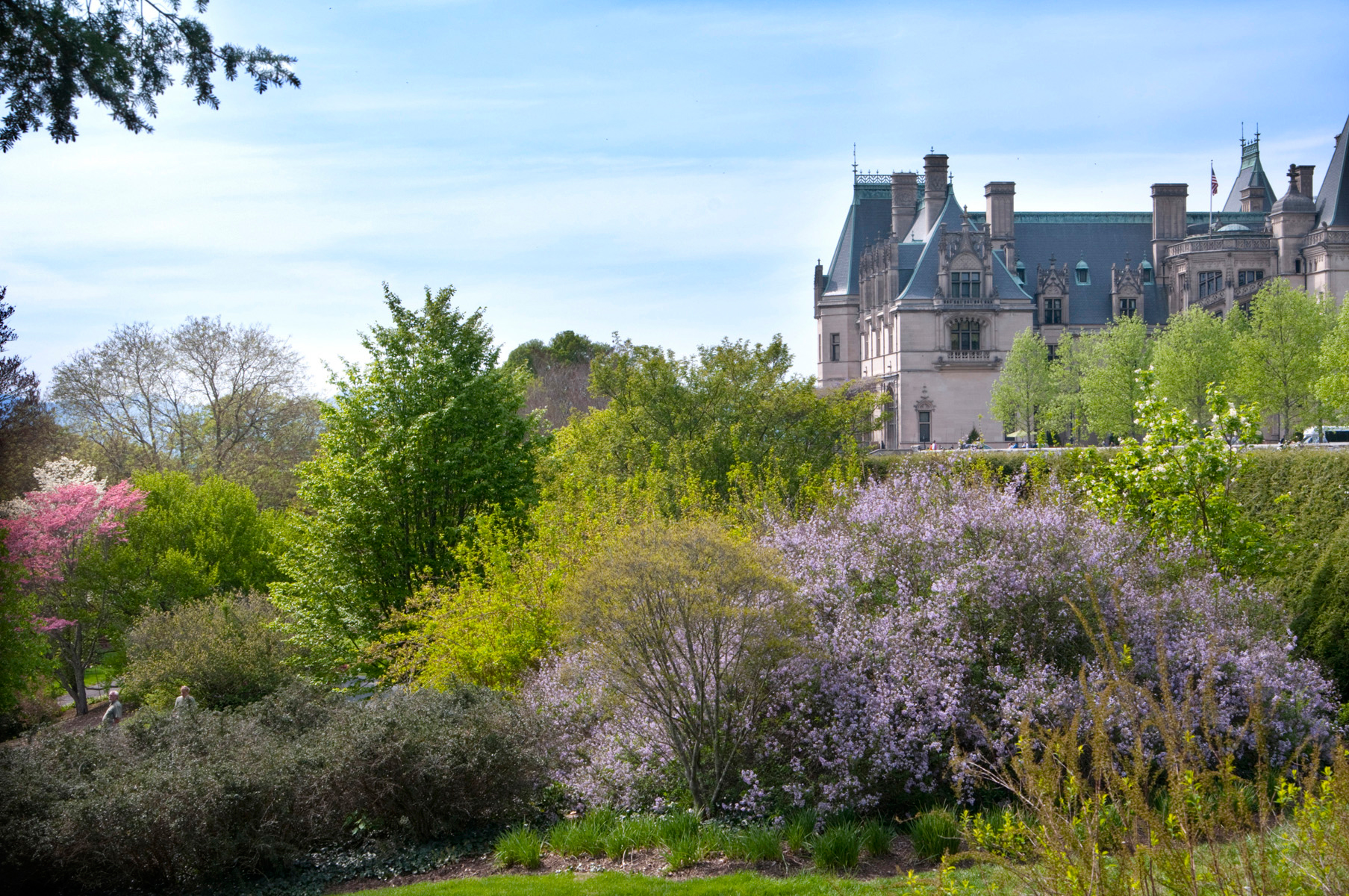 Biltmore Shrub Garden