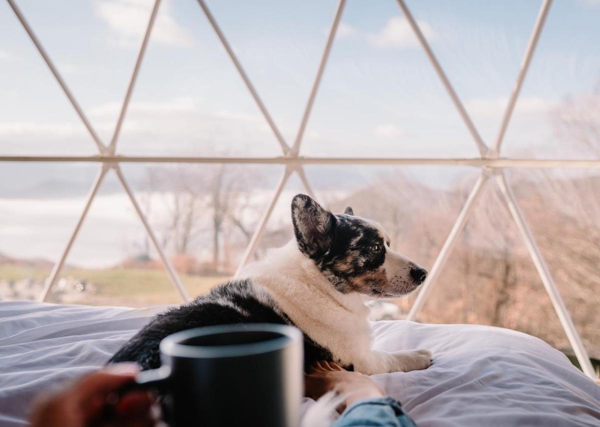 Glamping