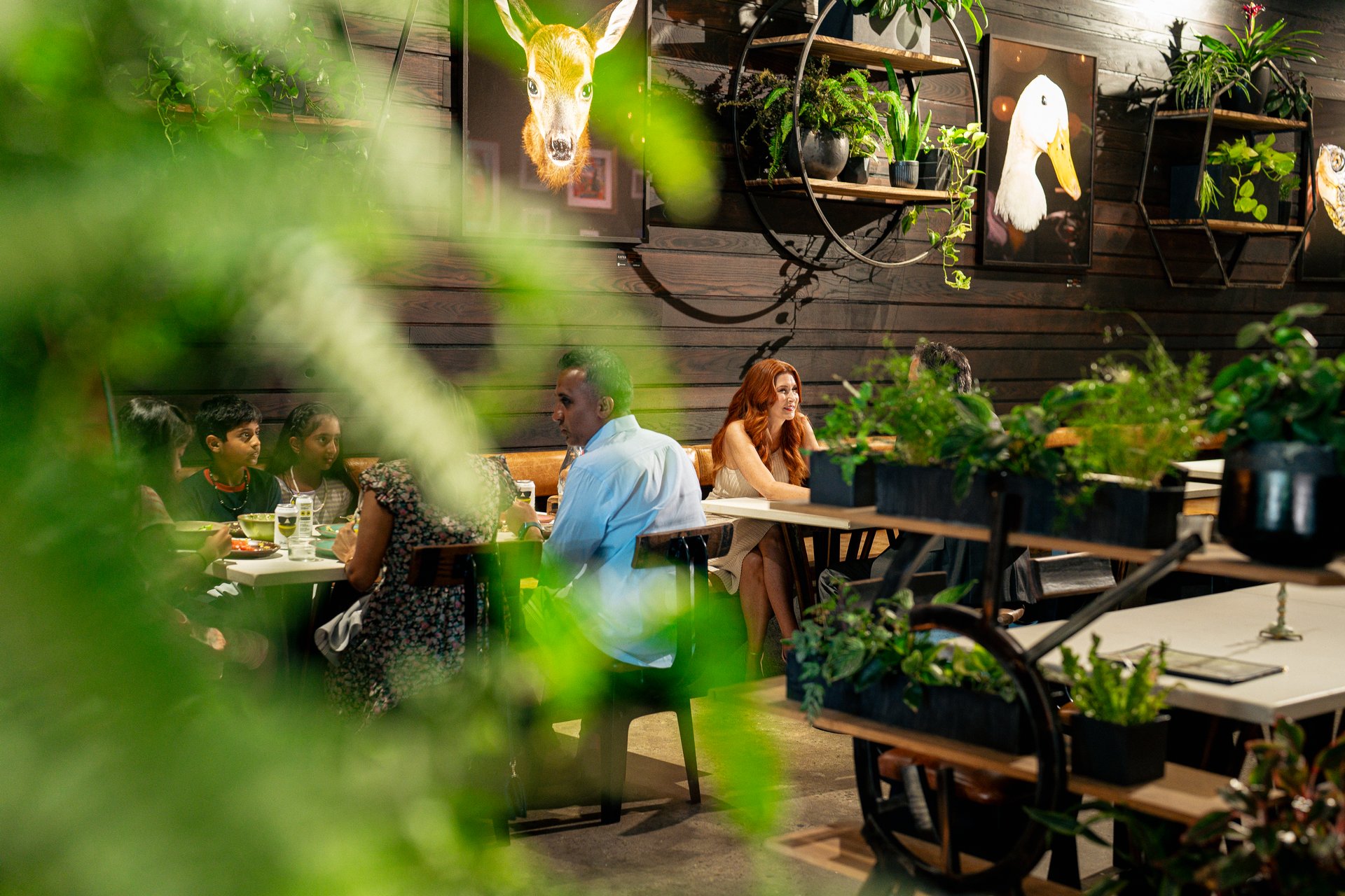 Cultura restaurant in Asheville / Photo: Savannah Bockus