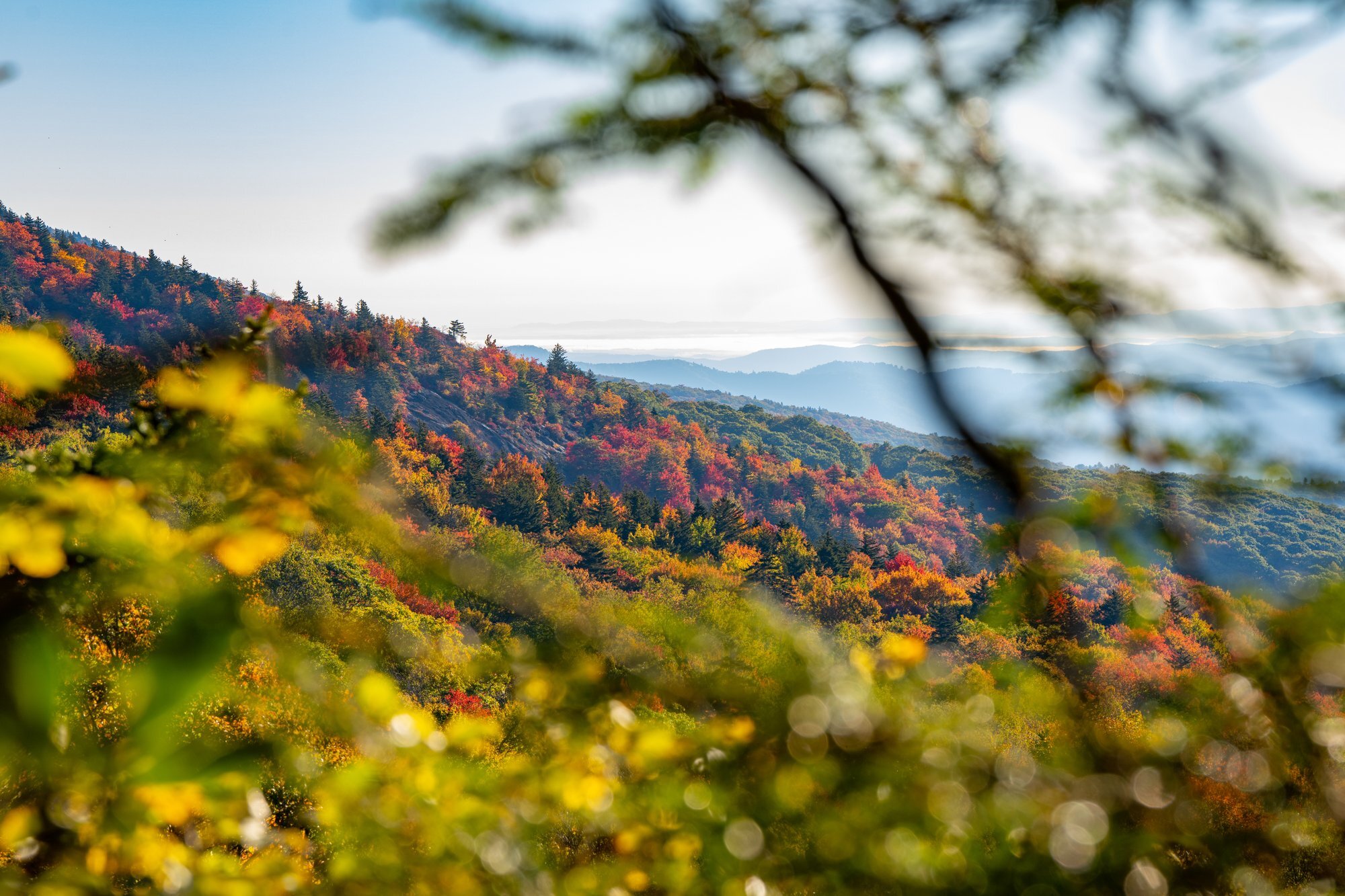 Blue Ridge Mountains in Fall / Photo: Leslie Restivo