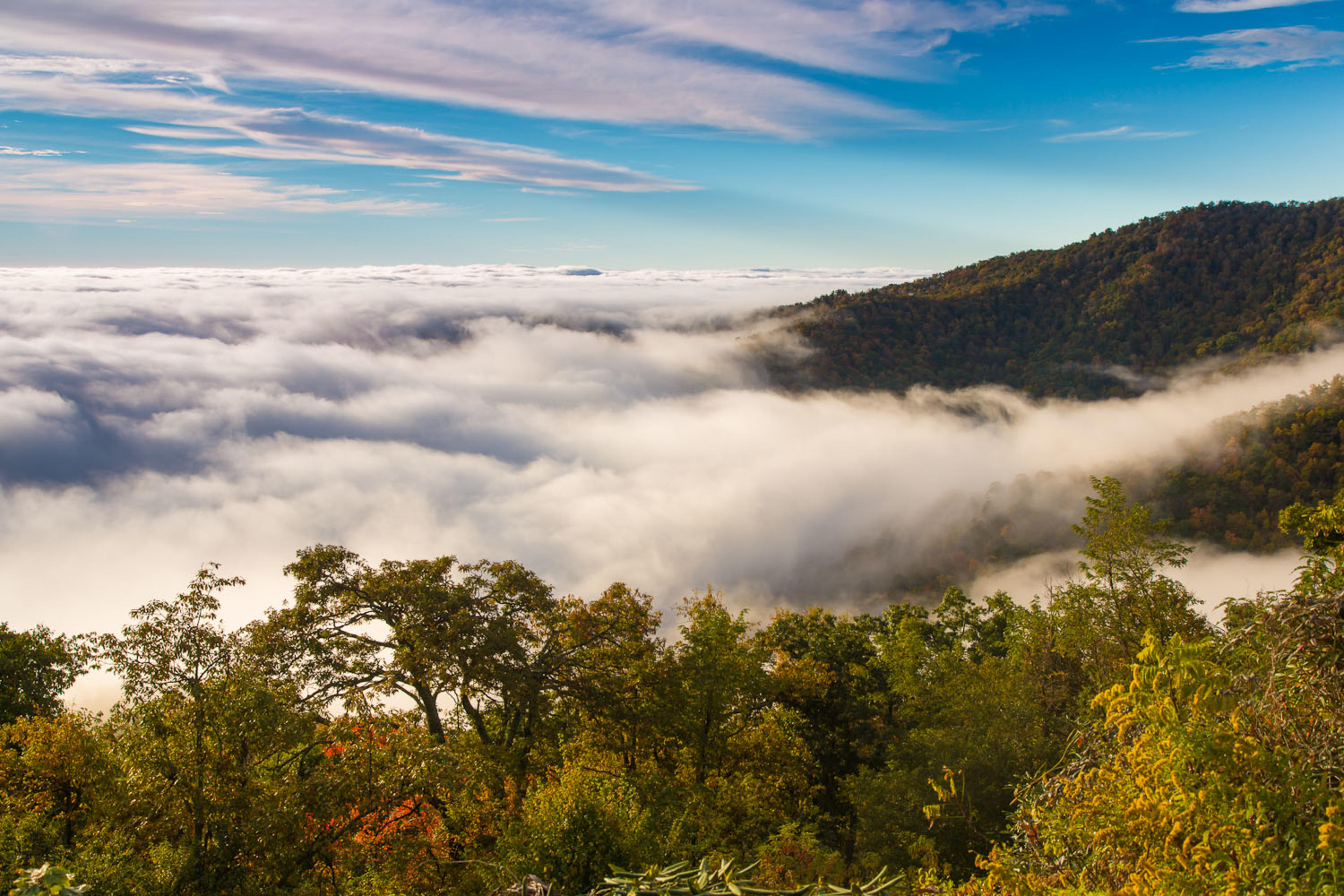 Experience a Cloud Phenomenon in Asheville, NC Experience a Cloud Phenomenon in Asheville, NC