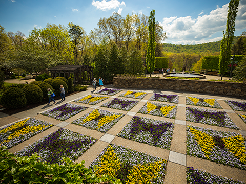 NC Arboretum