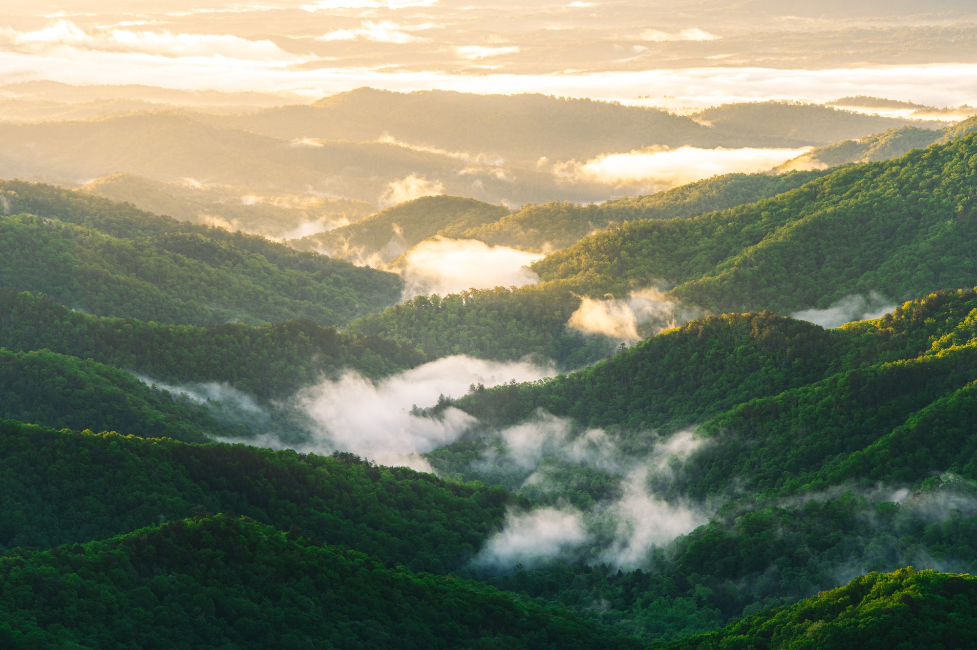 Green Knob Overlook in Summer / Photo: Connor Fernandes Green Knob Overlook in Summer / Photo: Connor Fernandes