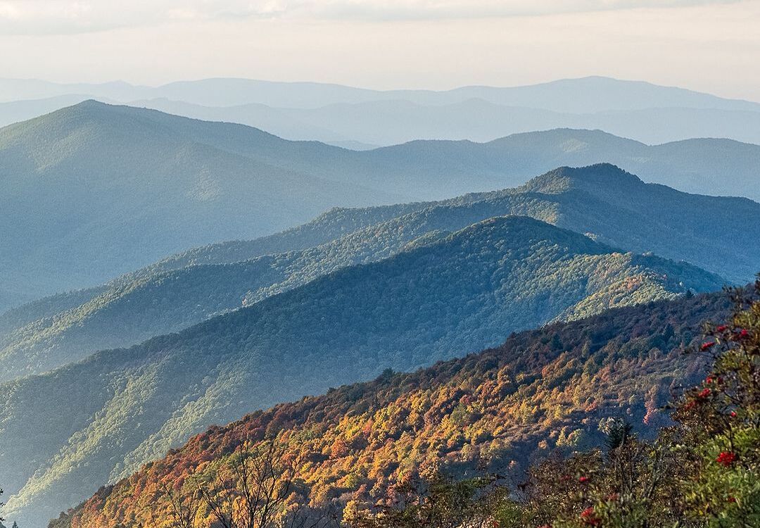 Graveyard Fields