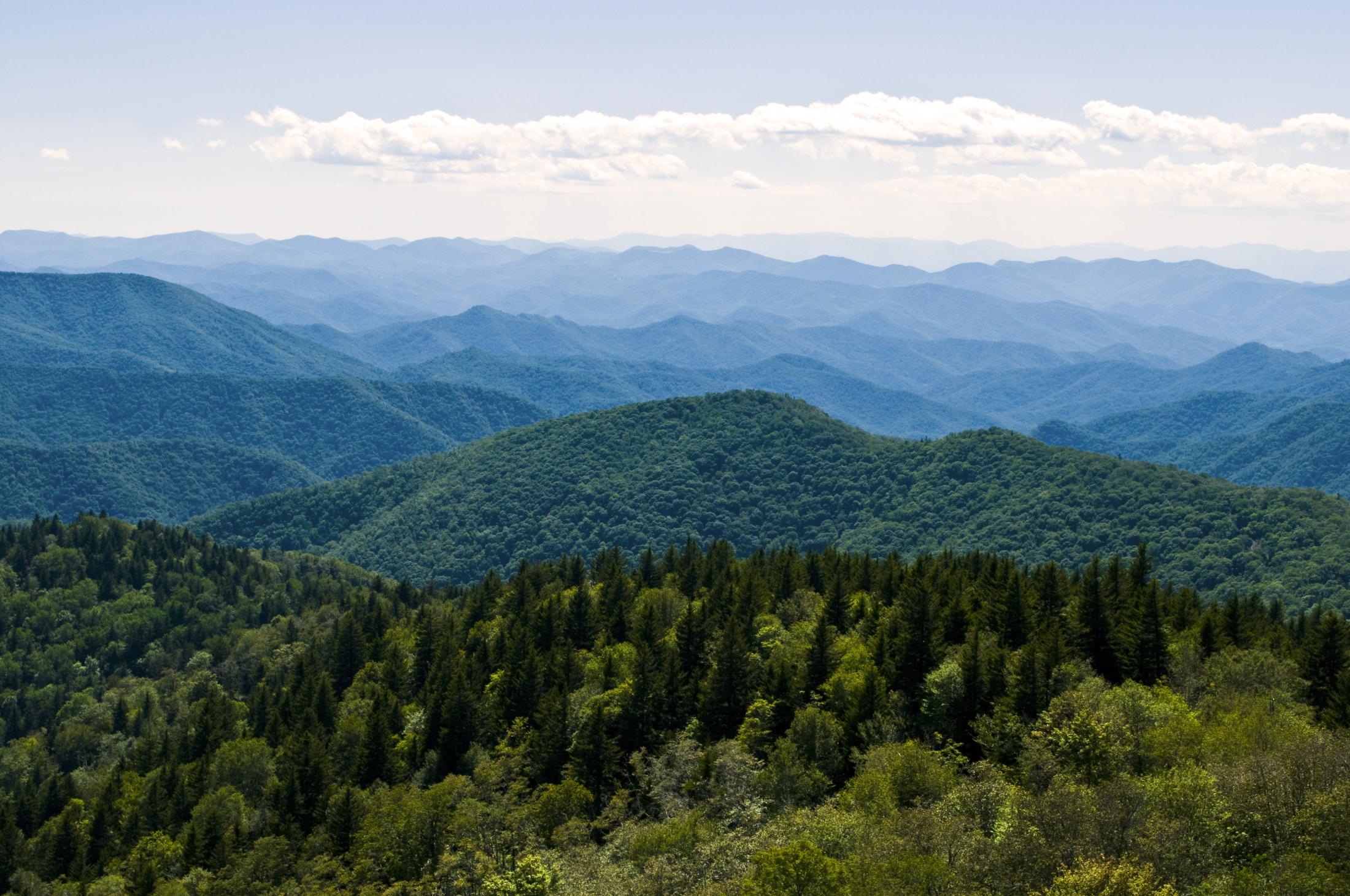Cowee-Mountains-Overlook / Photo: Vicki Dameron