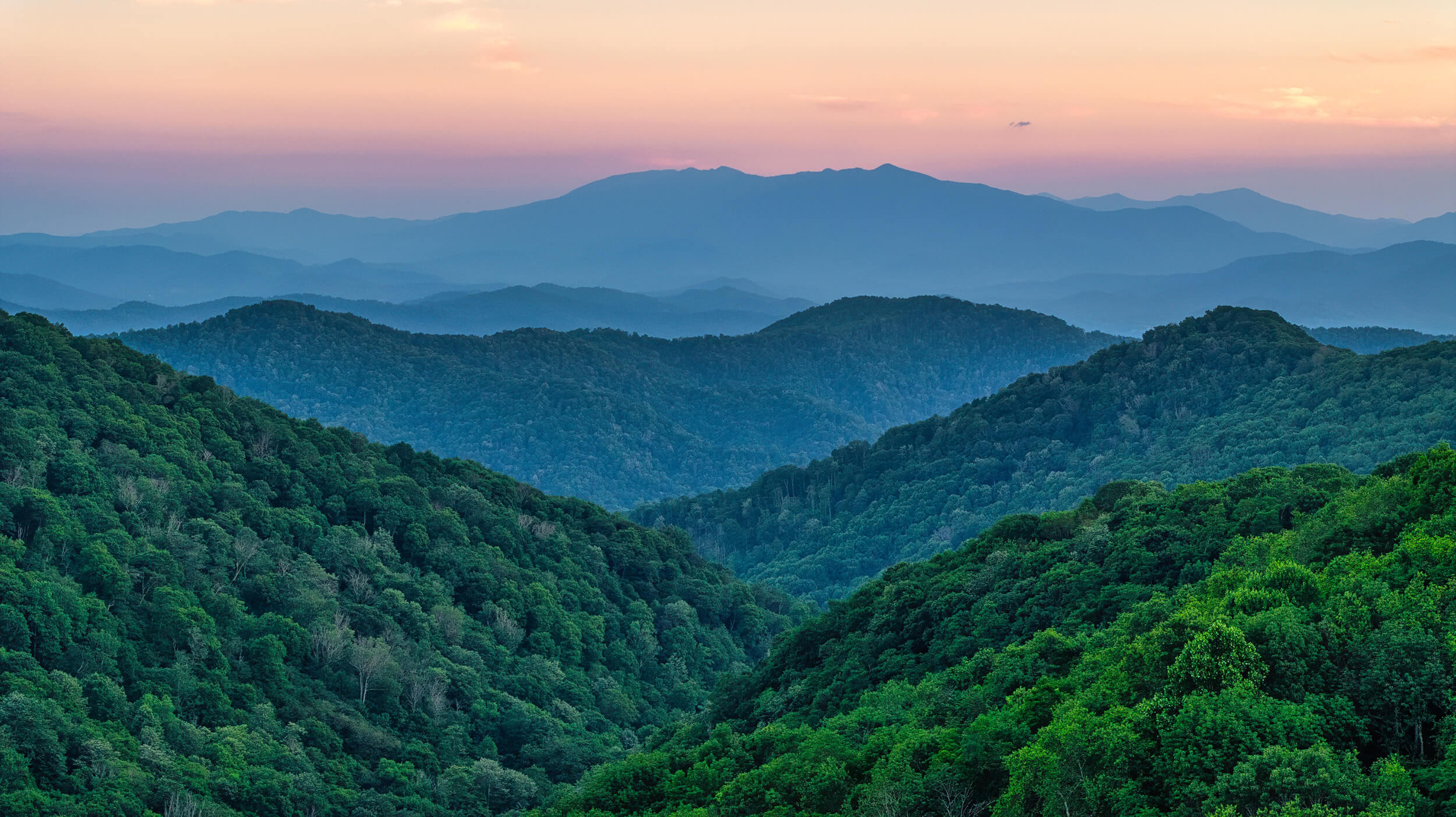 Mount Mitchell // photo by Reggie Tidwell Mount Mitchell // photo by Reggie Tidwell