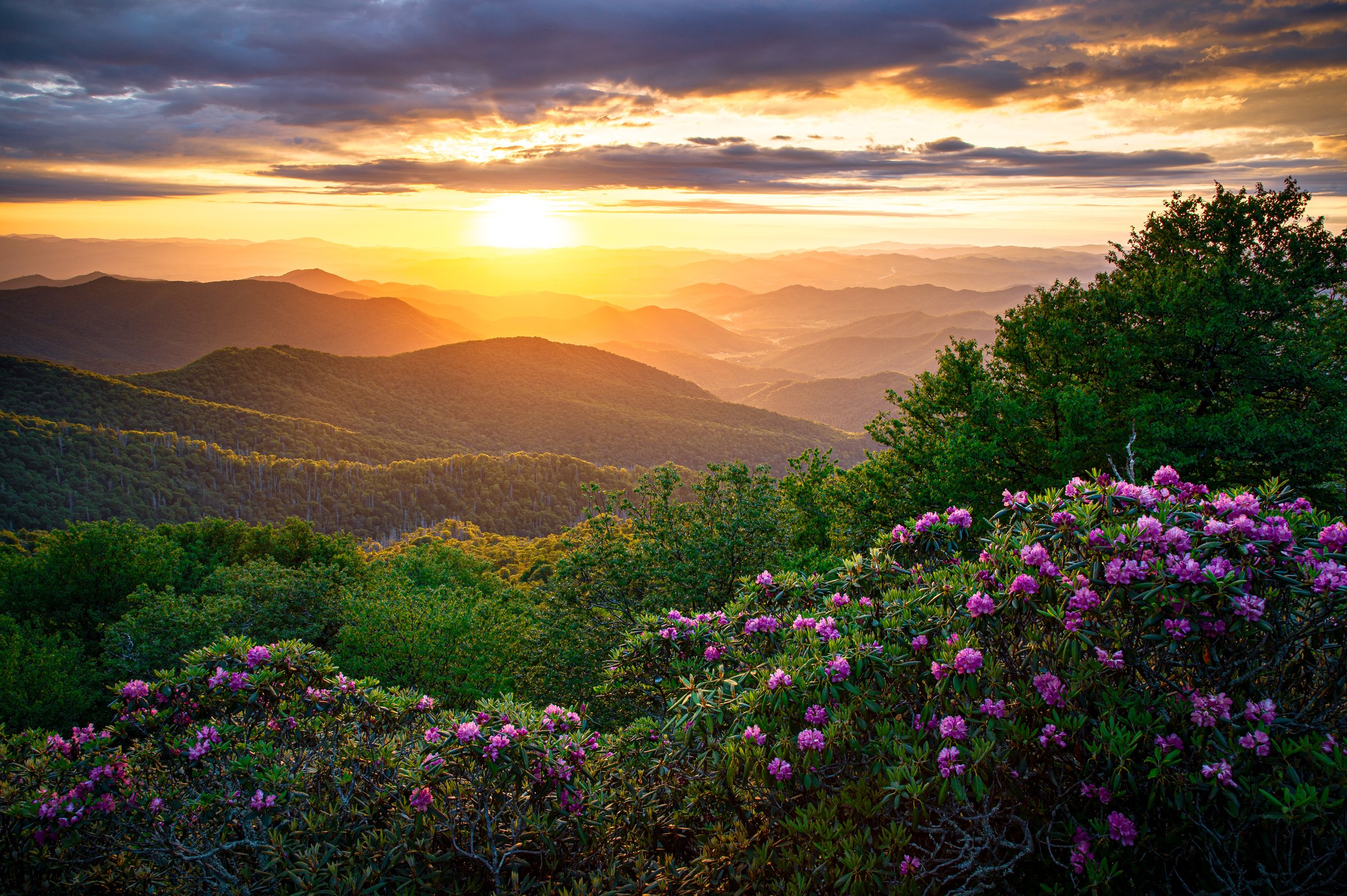 Craggy Gardens