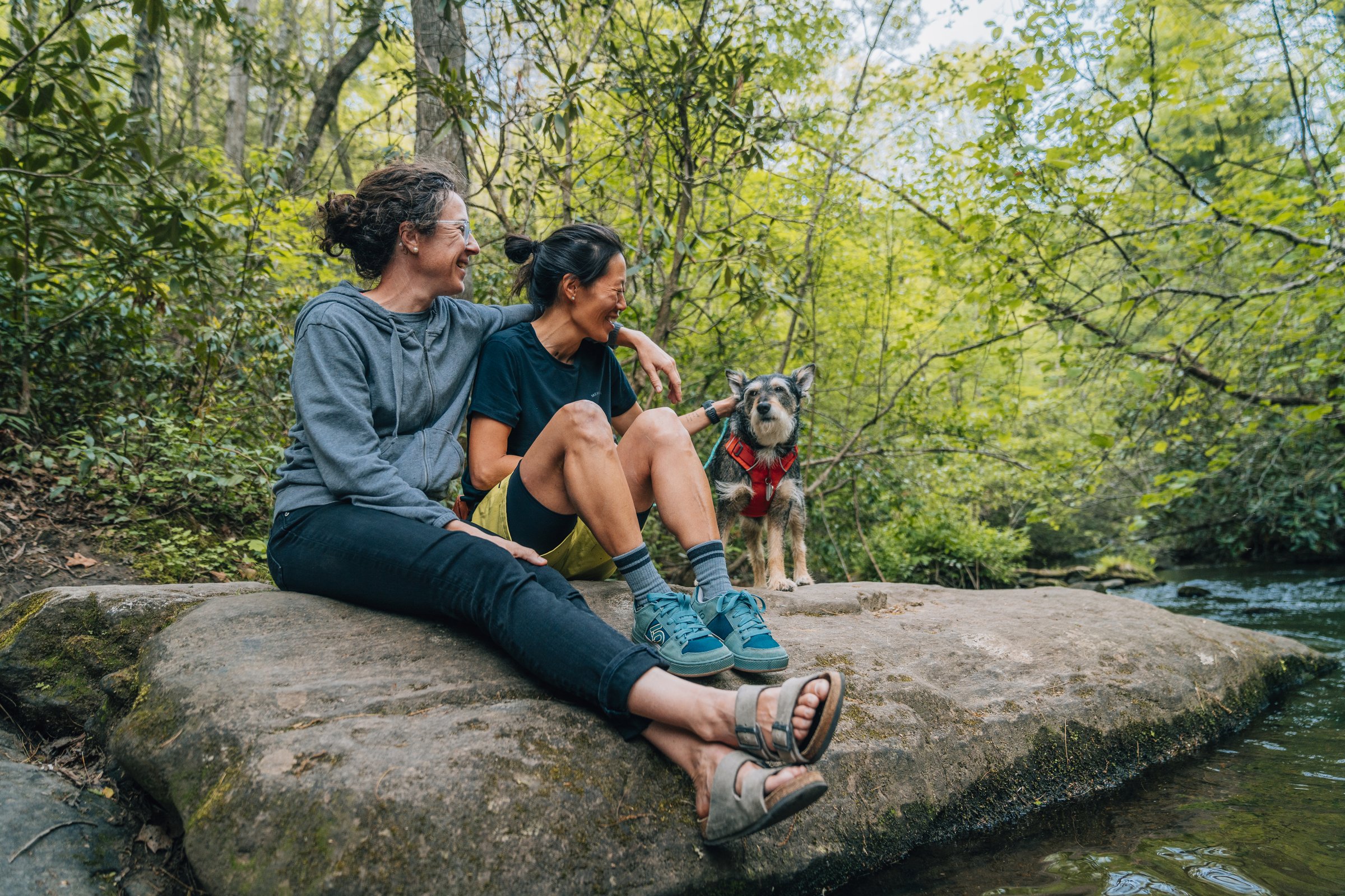 Spring Hikes