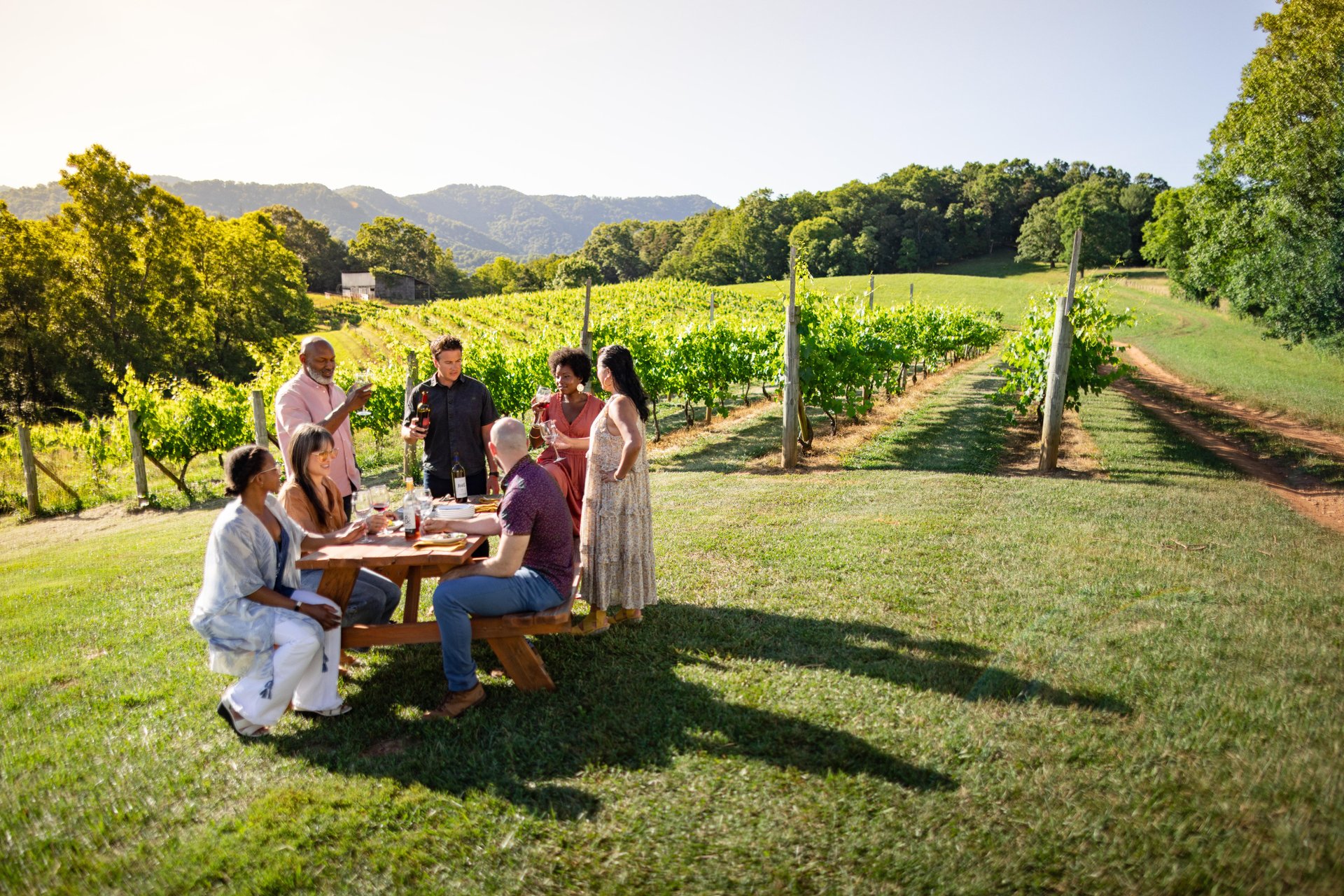 A group of friends dines al fresco on a beautiful summer's day at Addison Farms Vineyard in Asheville.