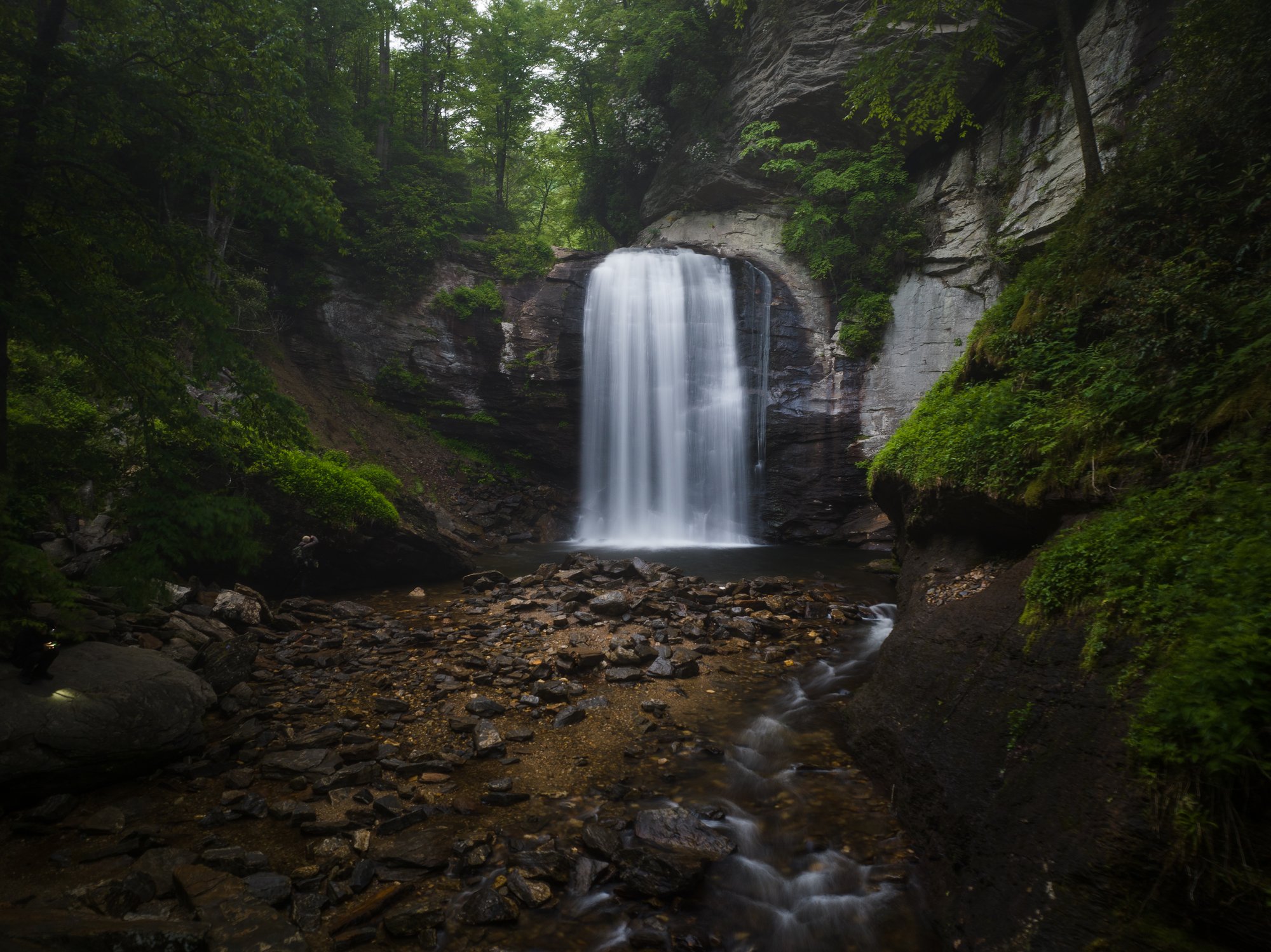 Looking Glass Falls Looking Glass Falls