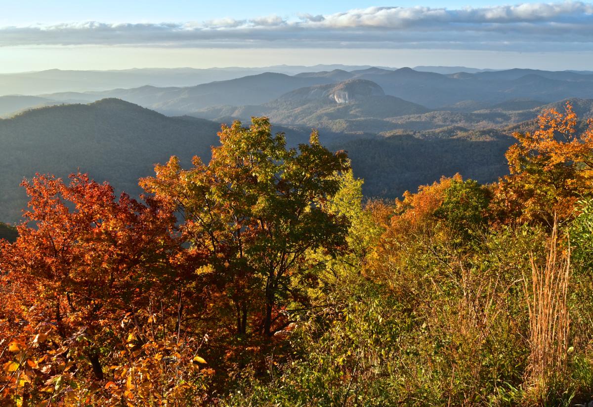Pisgah National Forest Pisgah National Forest