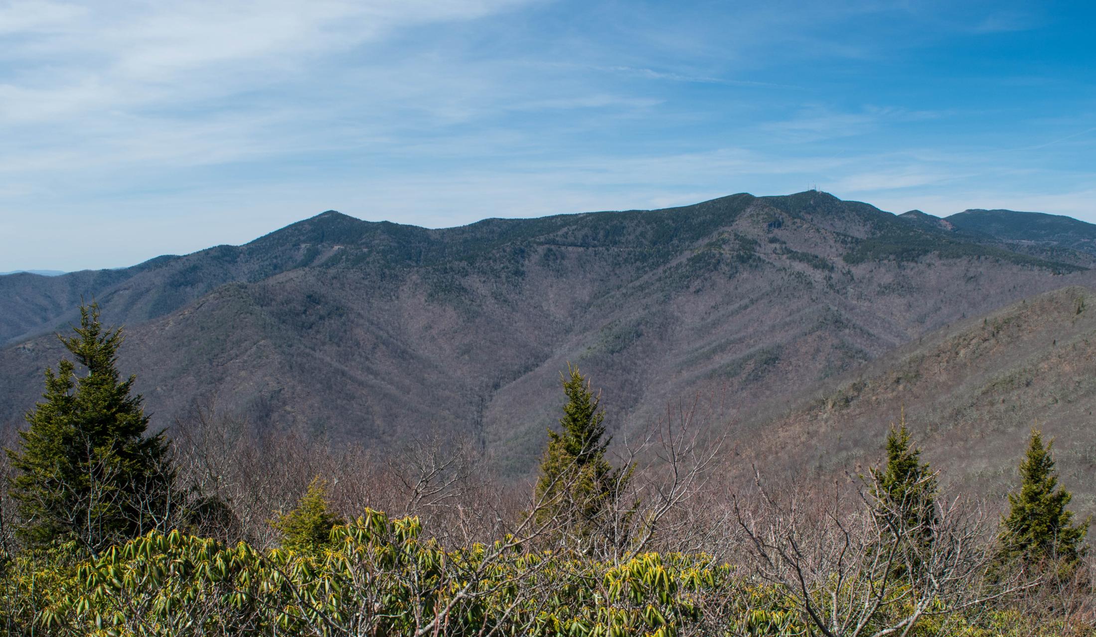 Graybeard  Trail