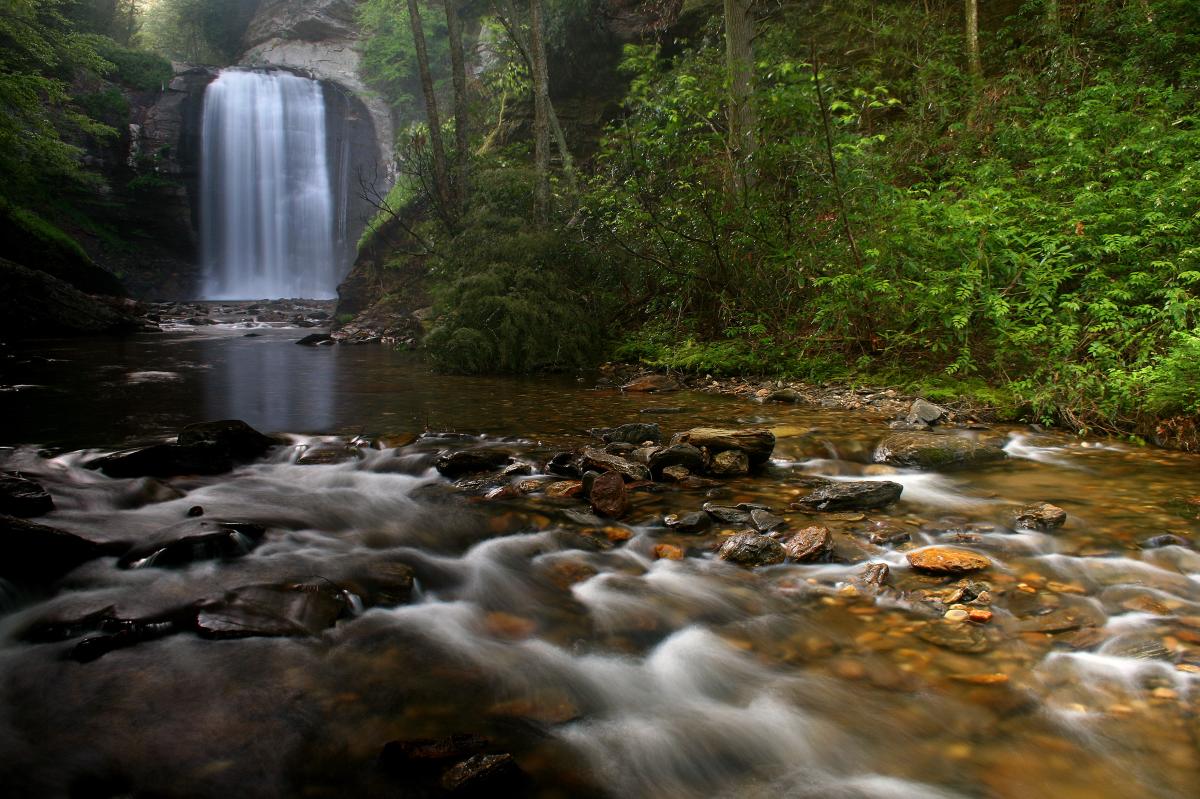 Looking Glass Falls
