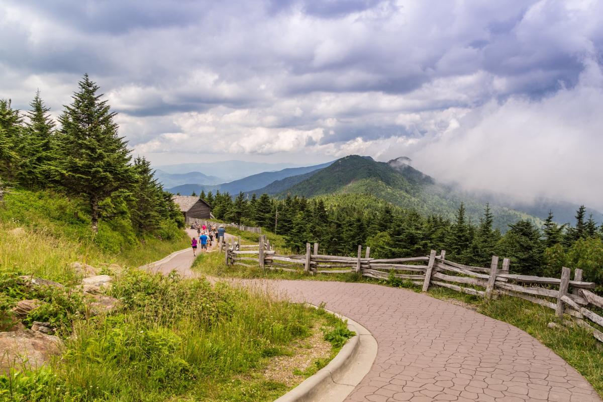 Mt Mitchell Mt Mitchell