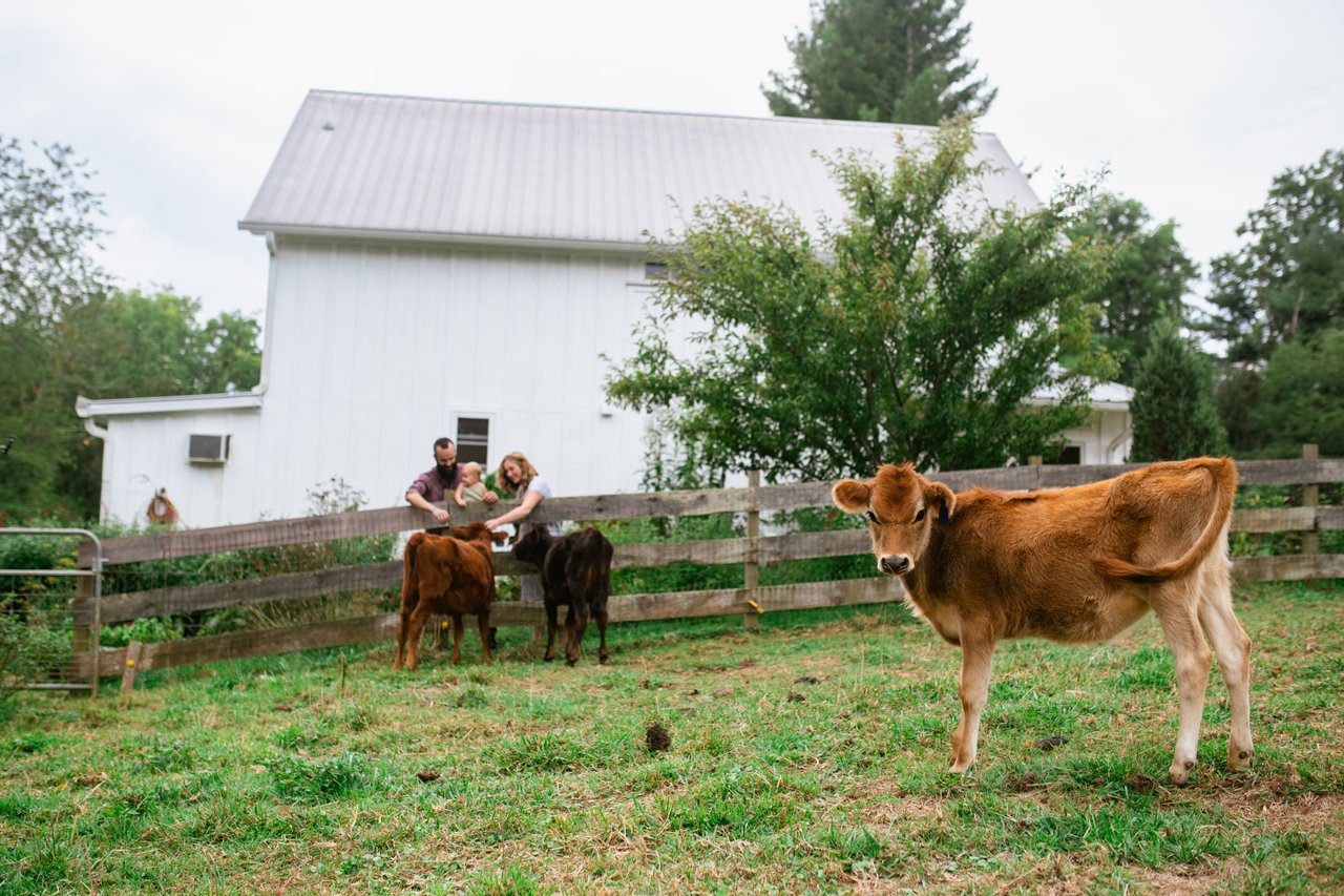 Round Mountain Creamery