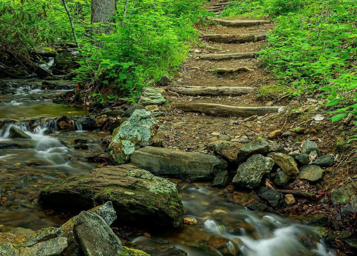 Rattlesnake Trail in Asheville NC. Rattlesnake Trail in Asheville NC.