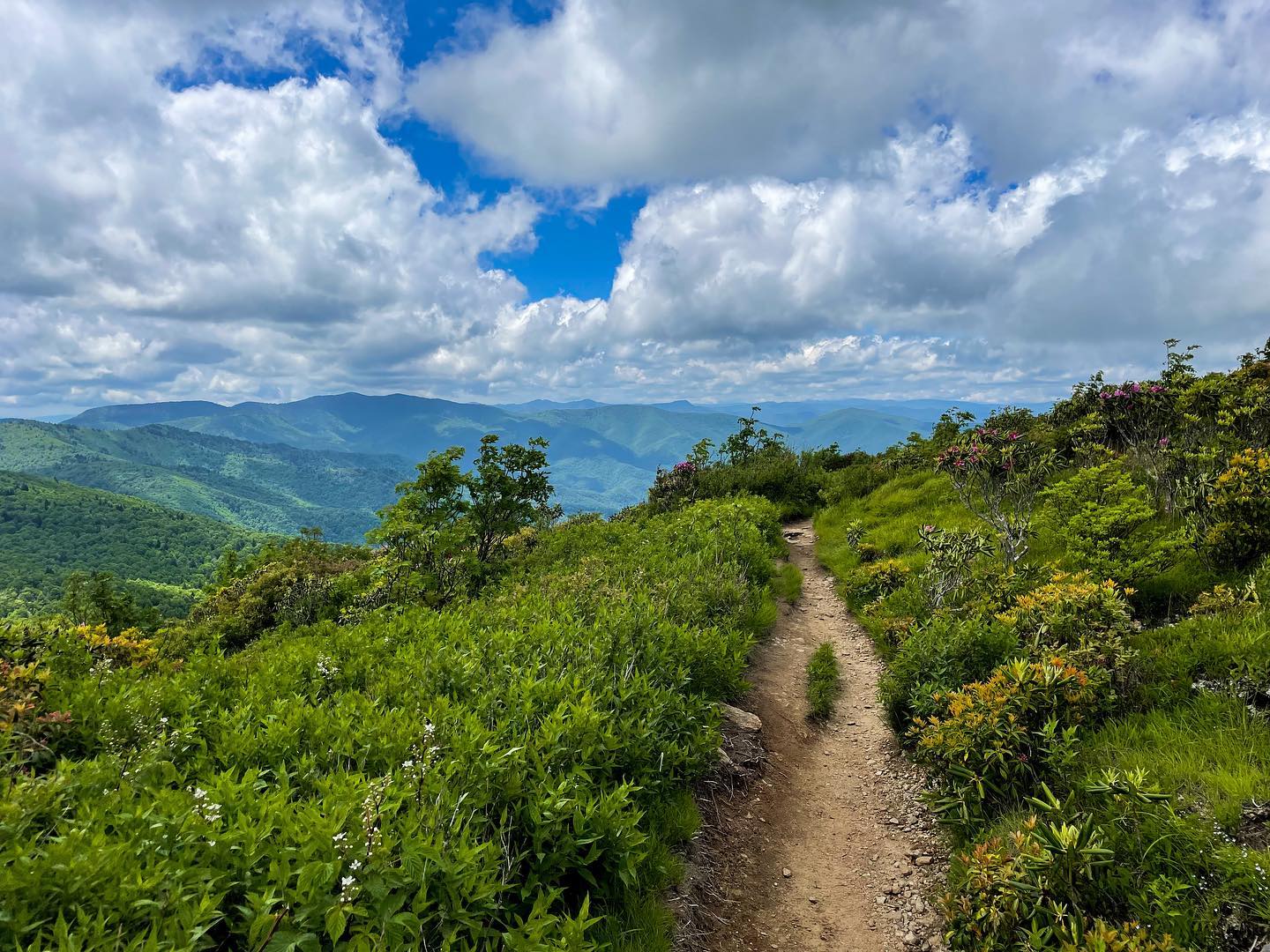 Black Balsam Knob