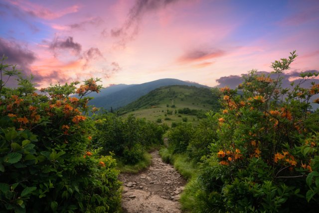 attraction_appalachiantrail.jpg