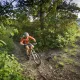 Mountain biker on trail in Asheville, NC