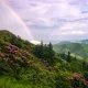 Rainbow over mountains