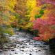 Fishing at West Fork Pigeon River in the Pisgah National Forest in fall / Photo: J Smilanic