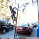 Asheville Urban Trail - Legacy of Design