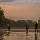 Stand Up Paddle Board