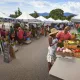 Farmer's Market