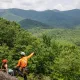 Fox Mountain Guides