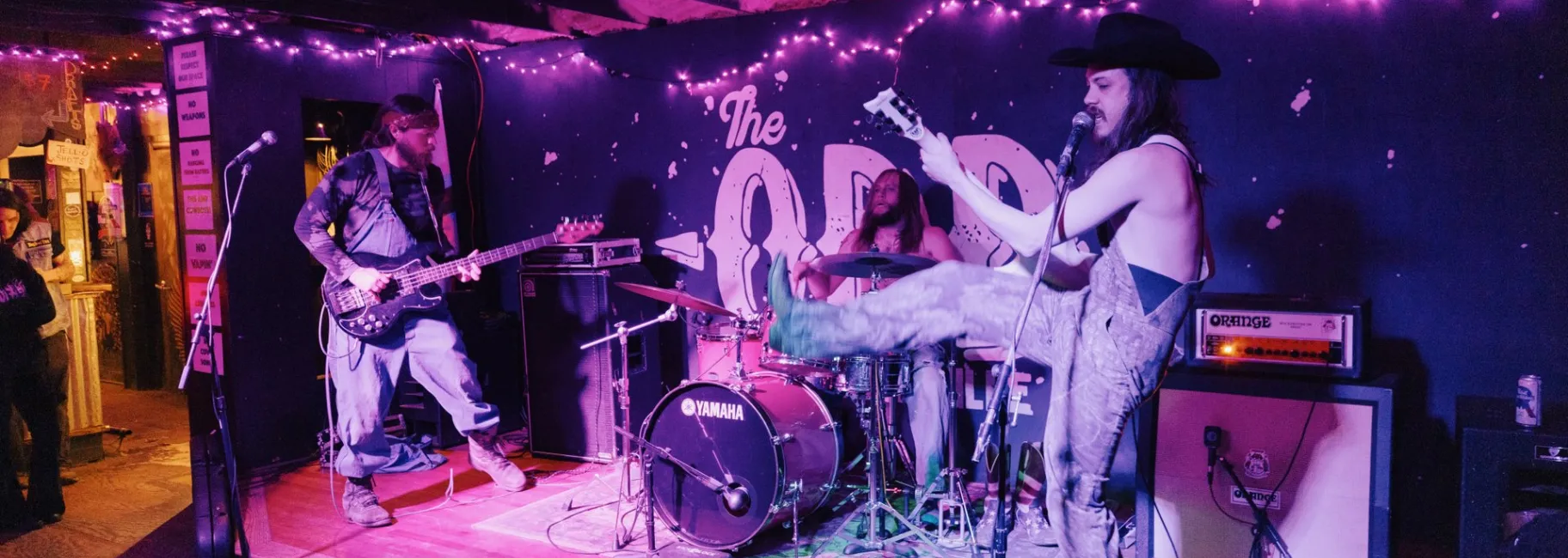 The Odditorium in West Asheville / Photo: Rachel Pressley