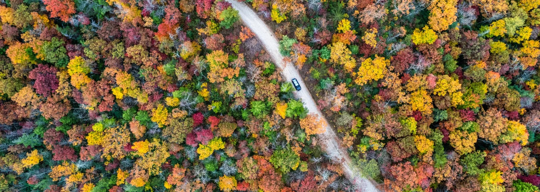 Aerial photo of a dirt road surrounded by fall color