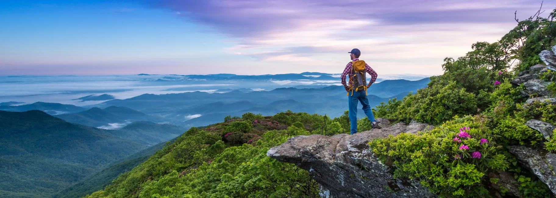 Craggy Pinnacle Hike in Asheville