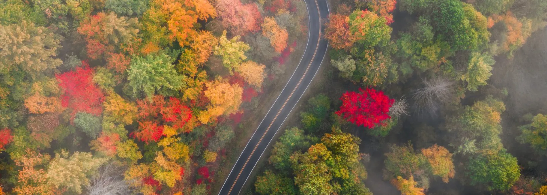 Aerial photo of a road through the Smoky Mountains in Fall