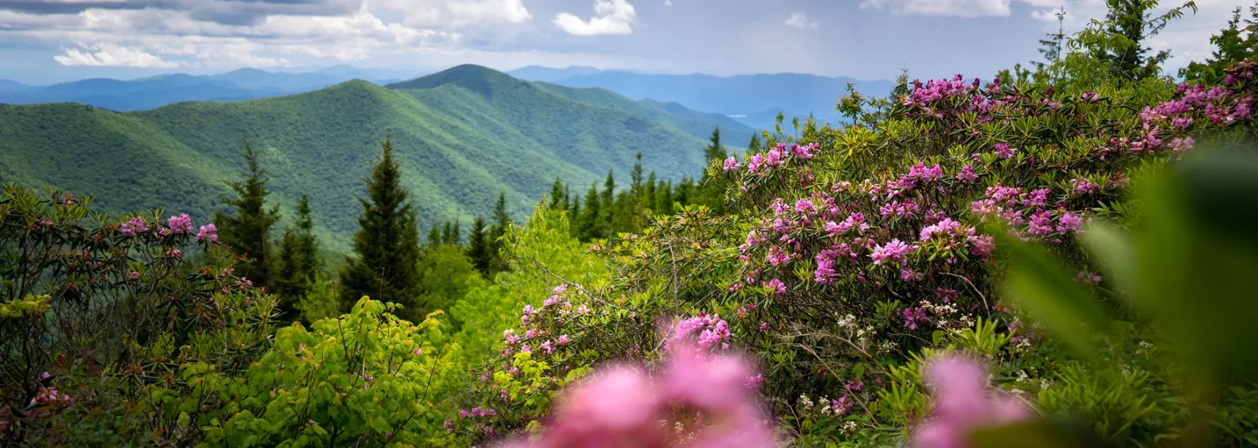 Mountains-to-Sea Trail near Mount Mitchell / Photo: J Smilanic