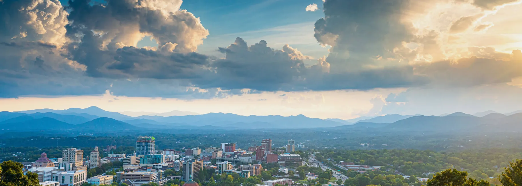 Always Asheville Fund Background