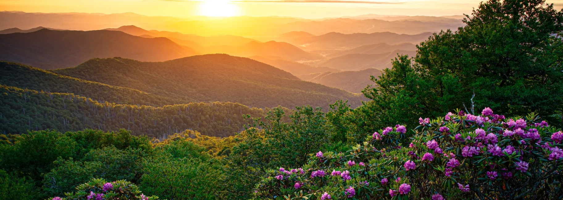 Craggy Gardens