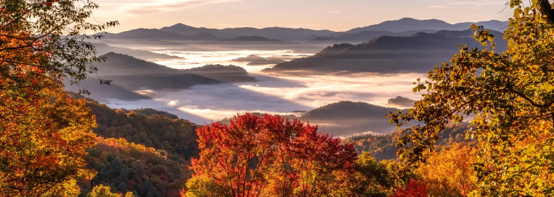Blue Ridge Mountains in Fall / Photo: J Smilanic