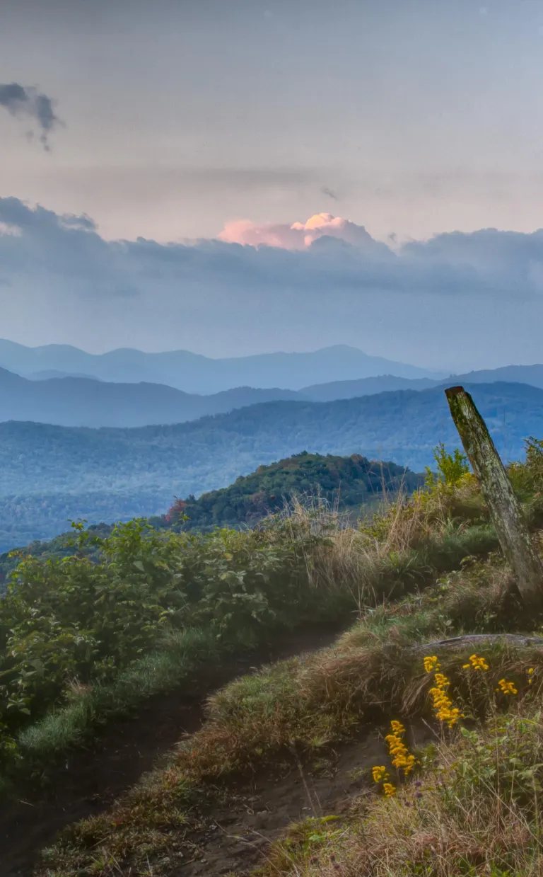A view of rolling blue hills layered in the distance from a hiking trail in Asheville