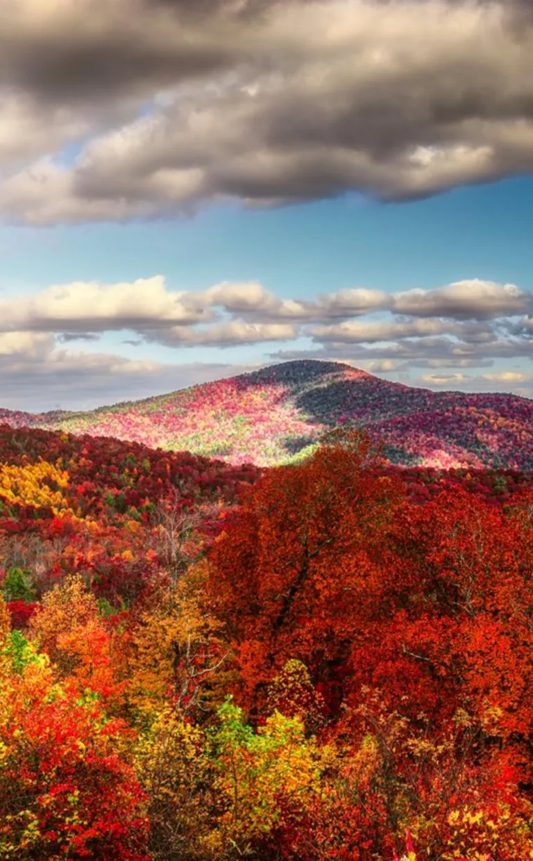 Fall in Asheville NC: Color Forecast 2023