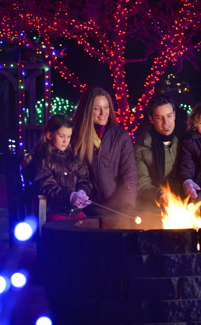 Holiday Festivals & Events in Asheville NC