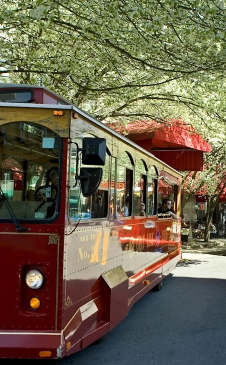 a trolly bus is parked on a charming street with green trees in Asheville