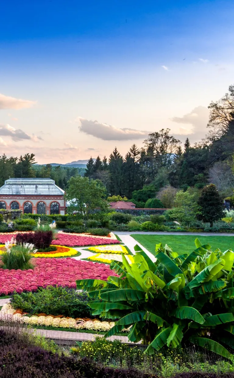 Biltmore Estate's walled garden in Summer
